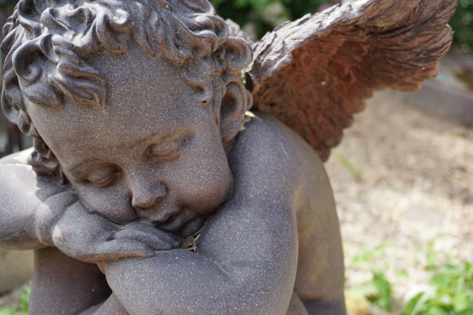 Sony a6000 sample photo. Angel, guardian angel, garden photography