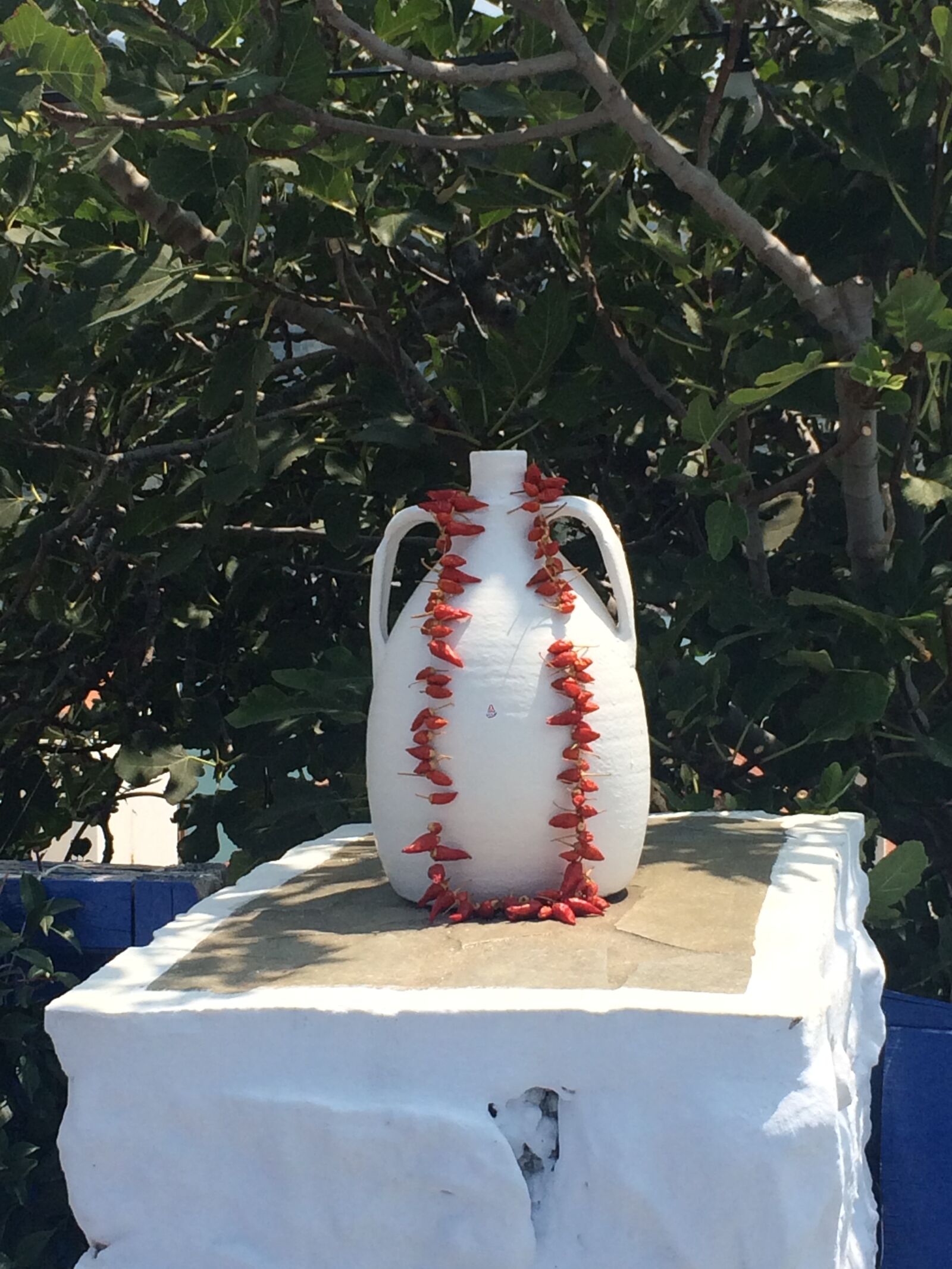 iPhone 5s back camera 4.15mm f/2.2 sample photo. Skopelos, greece, vase photography