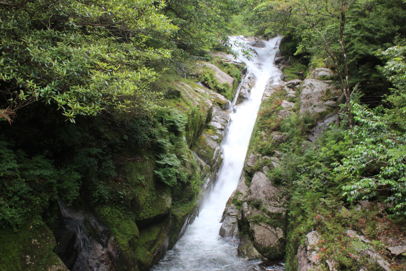 Canon EOS 600D (Rebel EOS T3i / EOS Kiss X5) sample photo. Falls photography