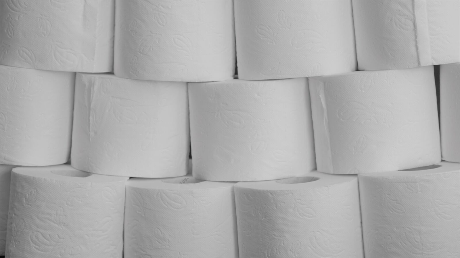 Sony a6000 + Sony E 18-200mm F3.5-6.3 OSS LE sample photo. Toilet paper, background, white photography