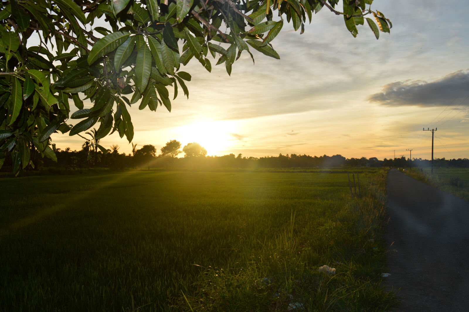Nikon D3200 sample photo. Landscape, nature, sunset photography