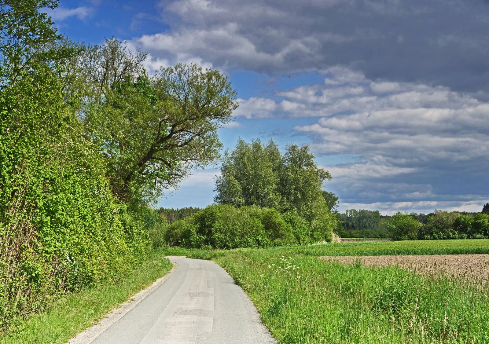 Panasonic Lumix DC-G9 sample photo. Münsterland, parklandschaft, fields photography