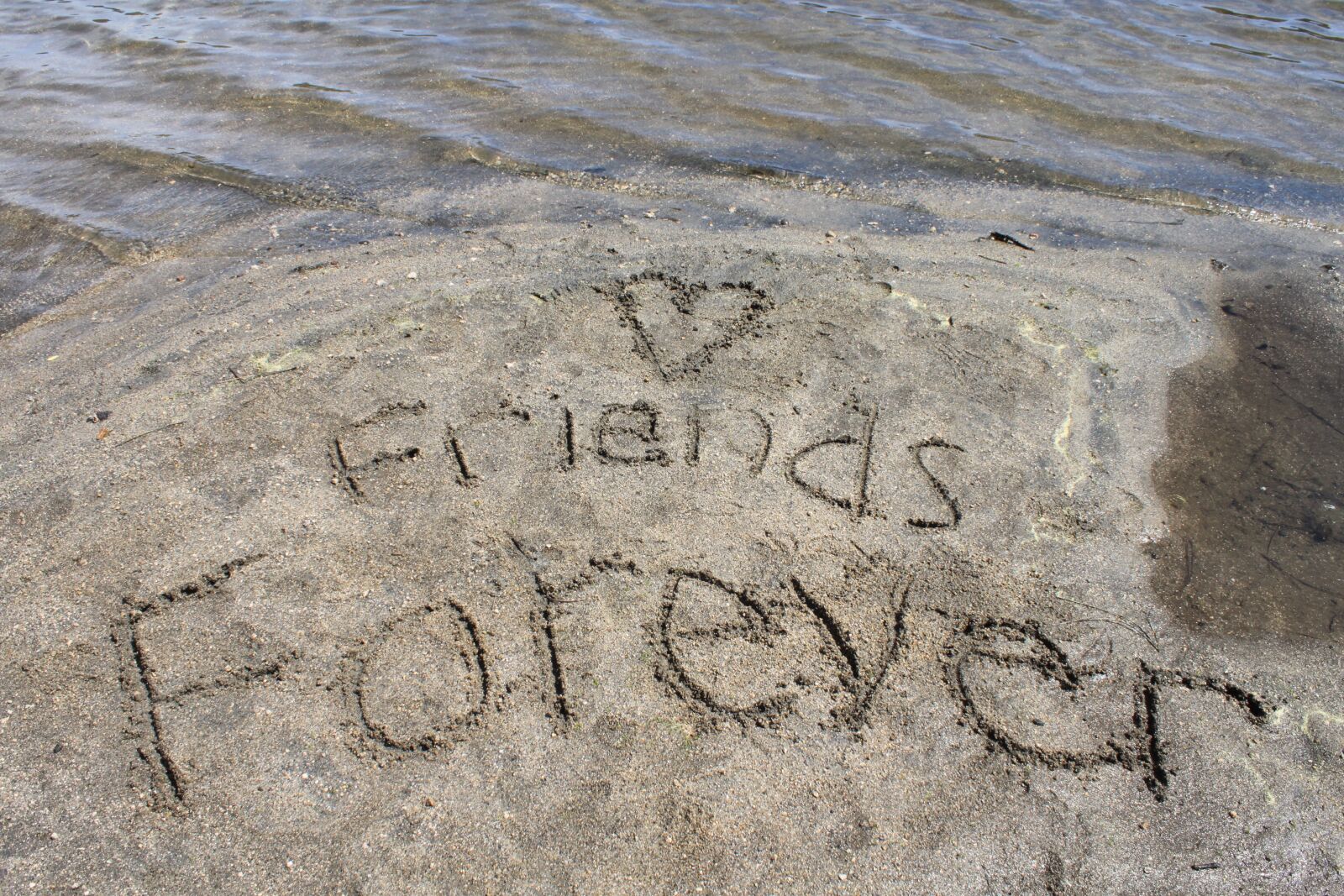 Canon EOS 500D (EOS Rebel T1i / EOS Kiss X3) sample photo. Friends forever, lake, ripple photography