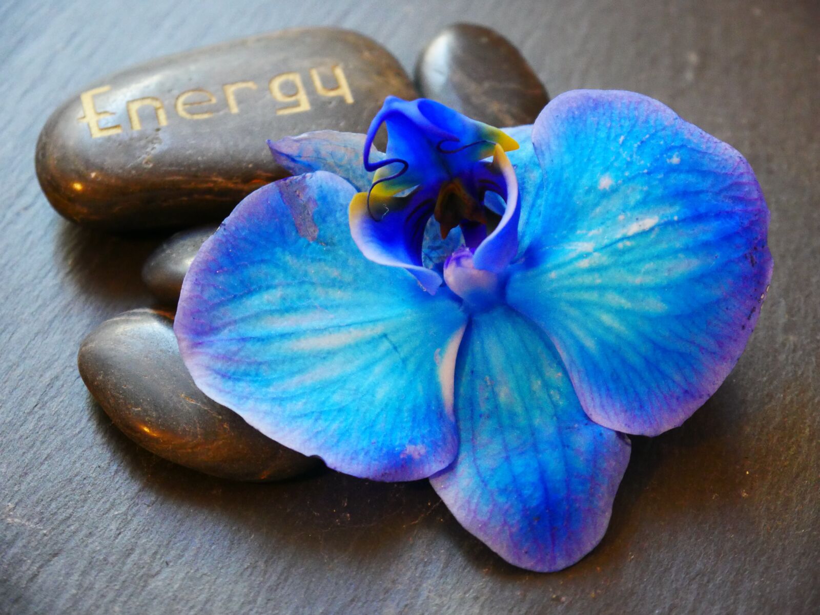 Panasonic DMC-G70 sample photo. Energy, wellness, orchid photography