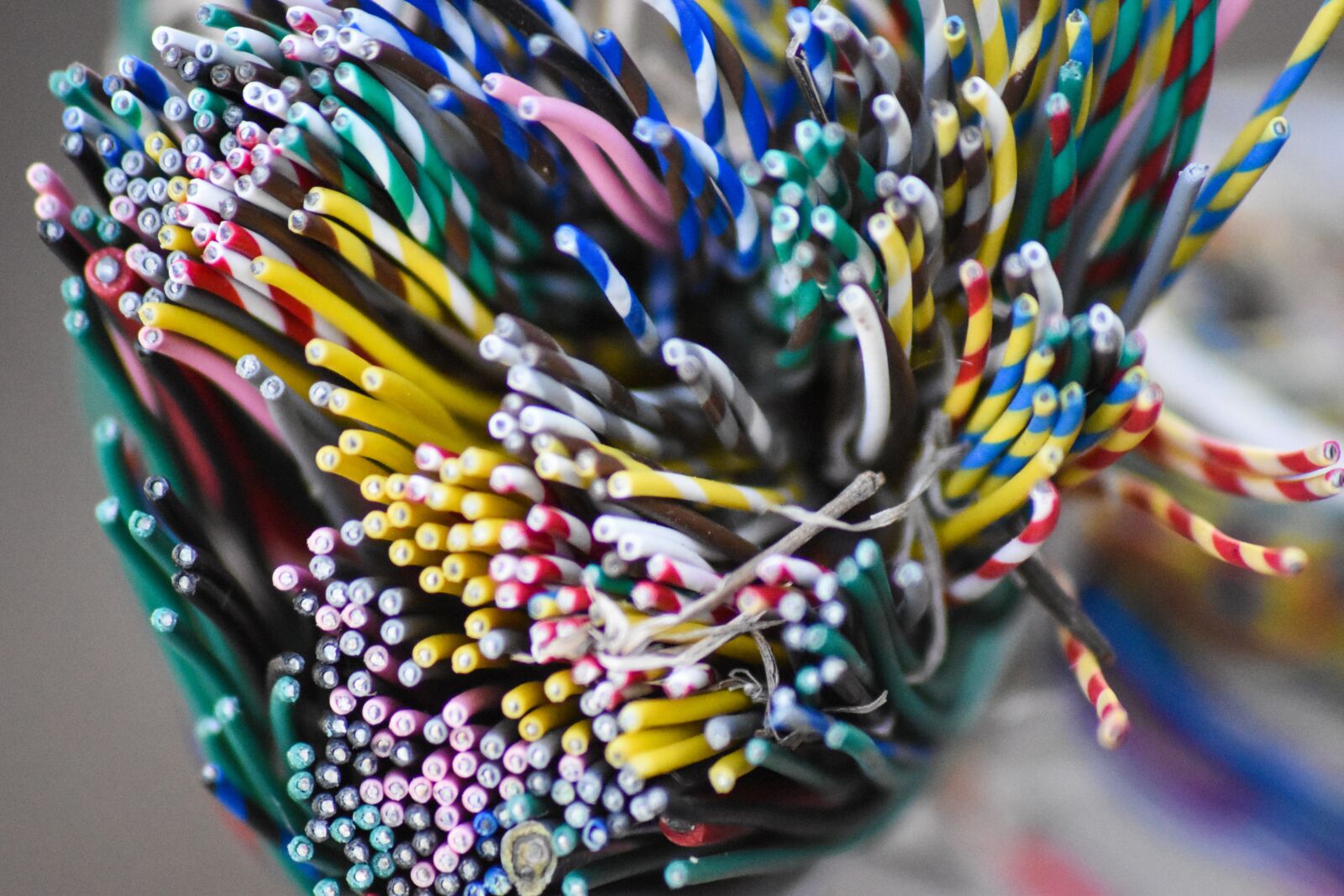 Nikon D5500 sample photo. Color, vivid, ornament photography