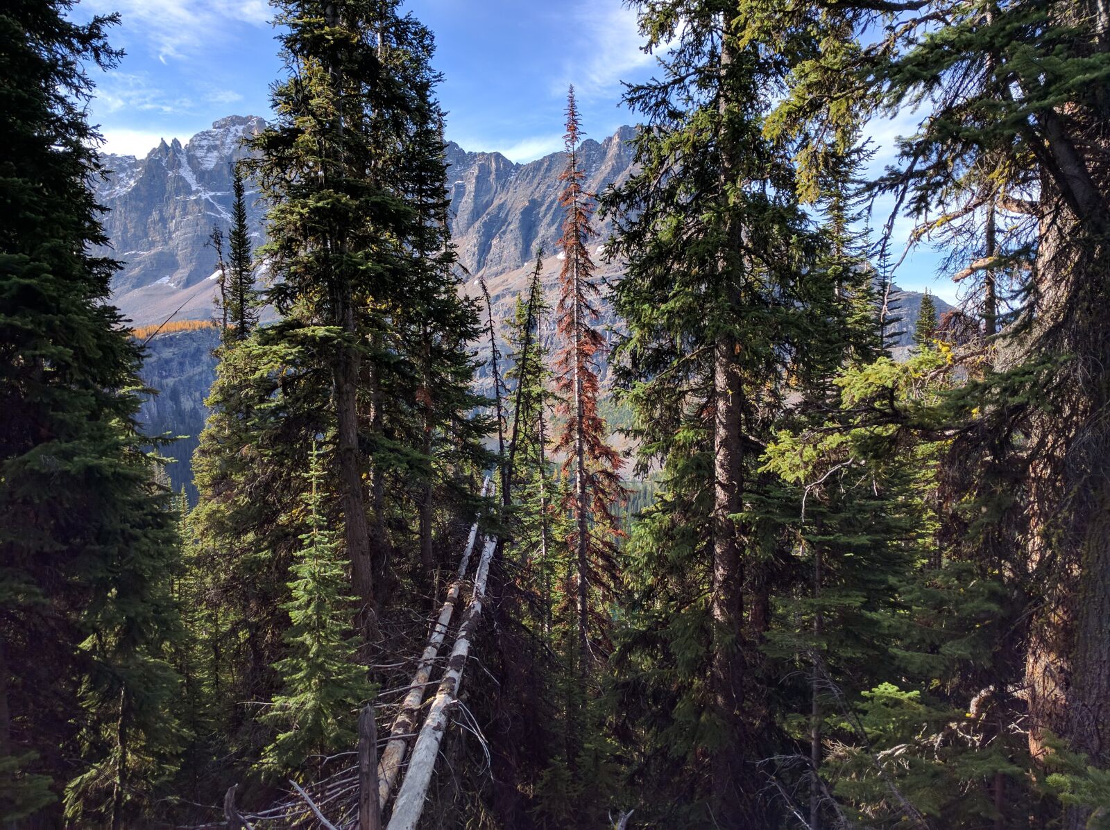 Google Nexus 6P sample photo. Mountain, mountains, alberta photography