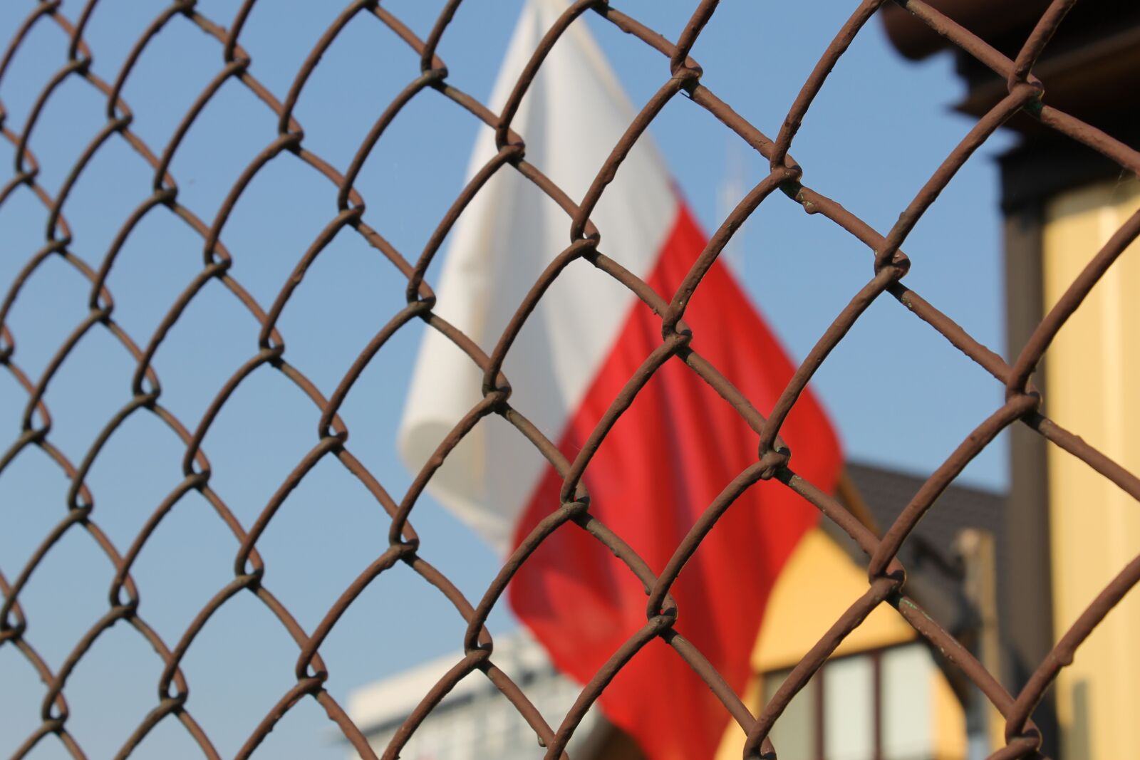 Canon EOS 1100D (EOS Rebel T3 / EOS Kiss X50) sample photo. Polish flag, flag, patriotism photography