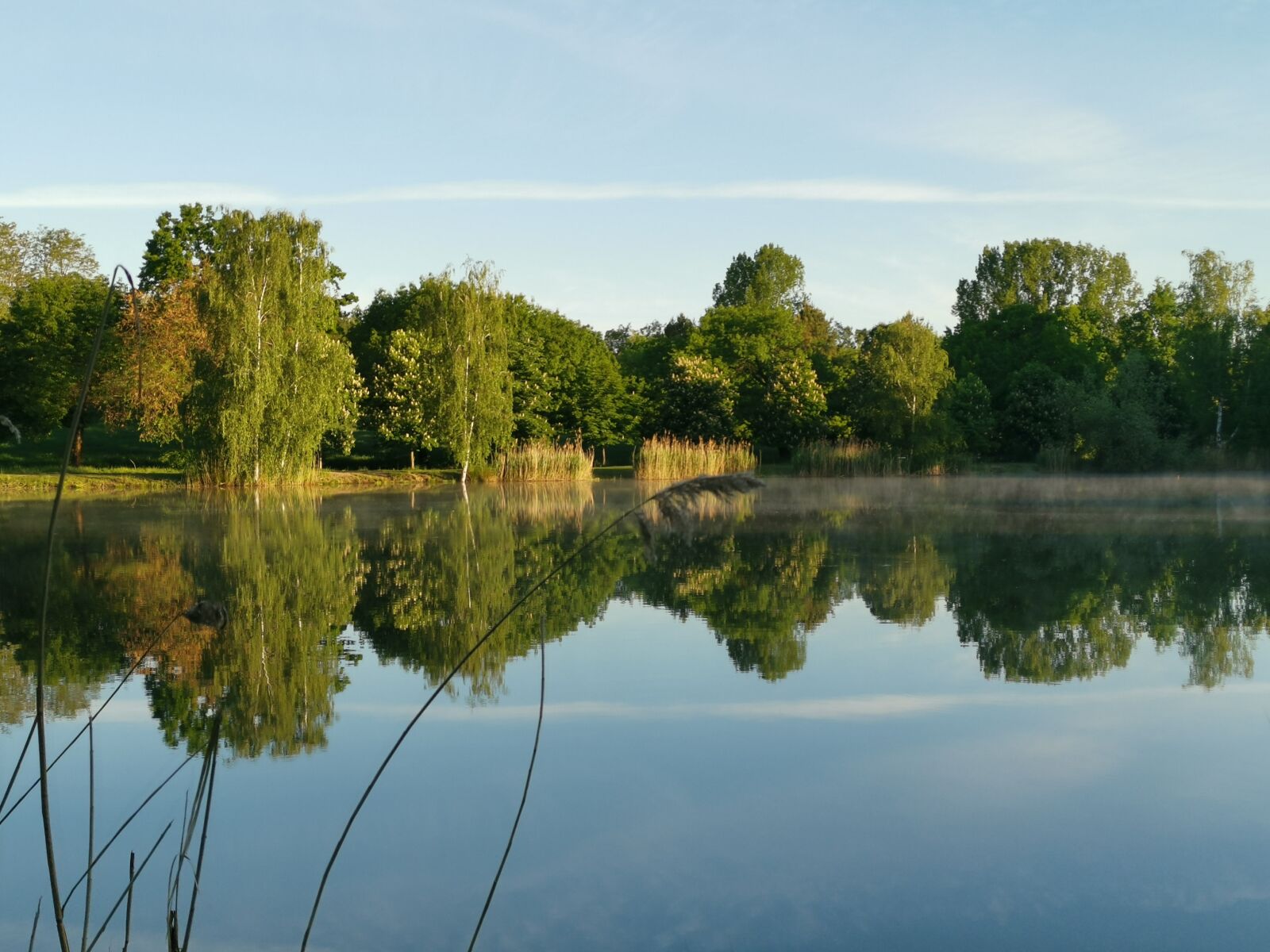 HUAWEI LYA-L29 sample photo. Lake, mirroring, water photography