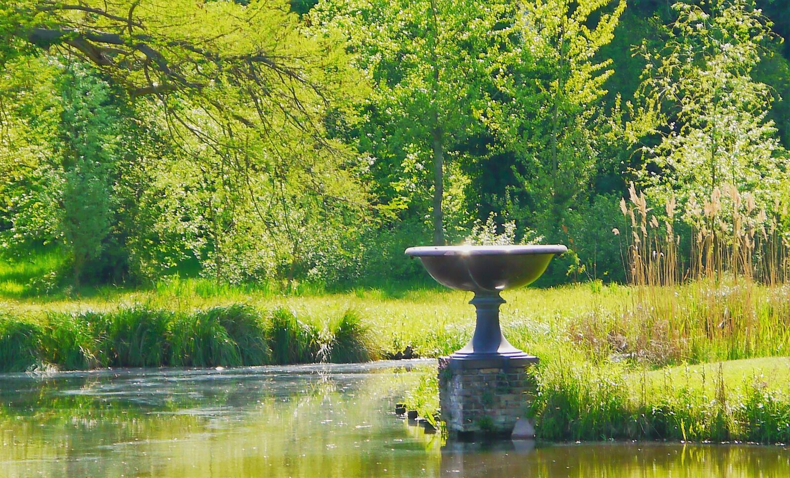 Panasonic Lumix DMC-G3 sample photo. Pond, waters, lake photography