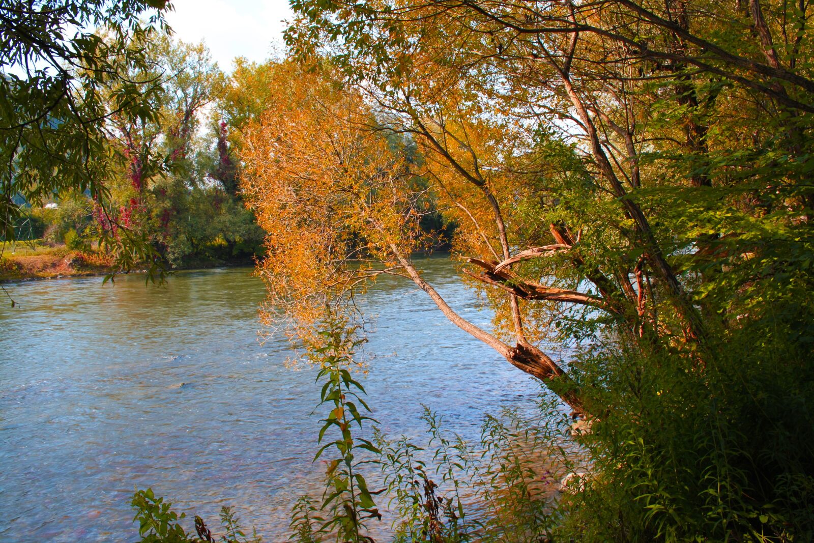 Canon EOS 1000D (EOS Digital Rebel XS / EOS Kiss F) sample photo. Water, mur, waters photography