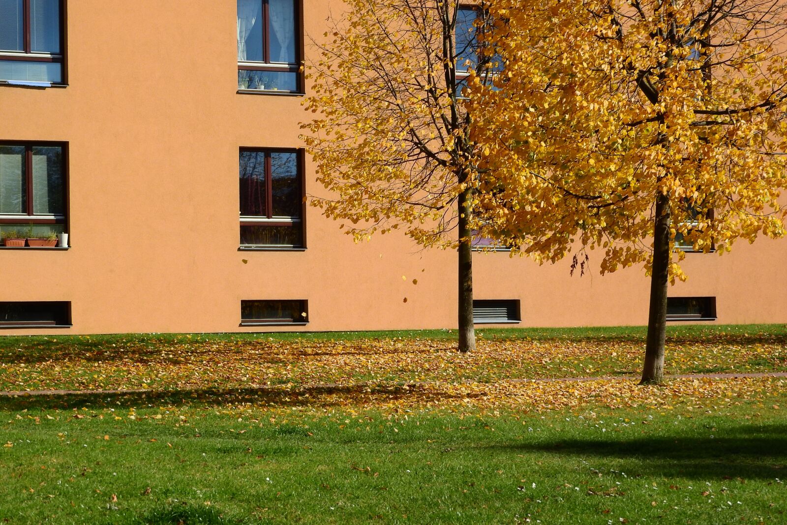 Nikon Coolpix P610 sample photo. Autumn in the city photography
