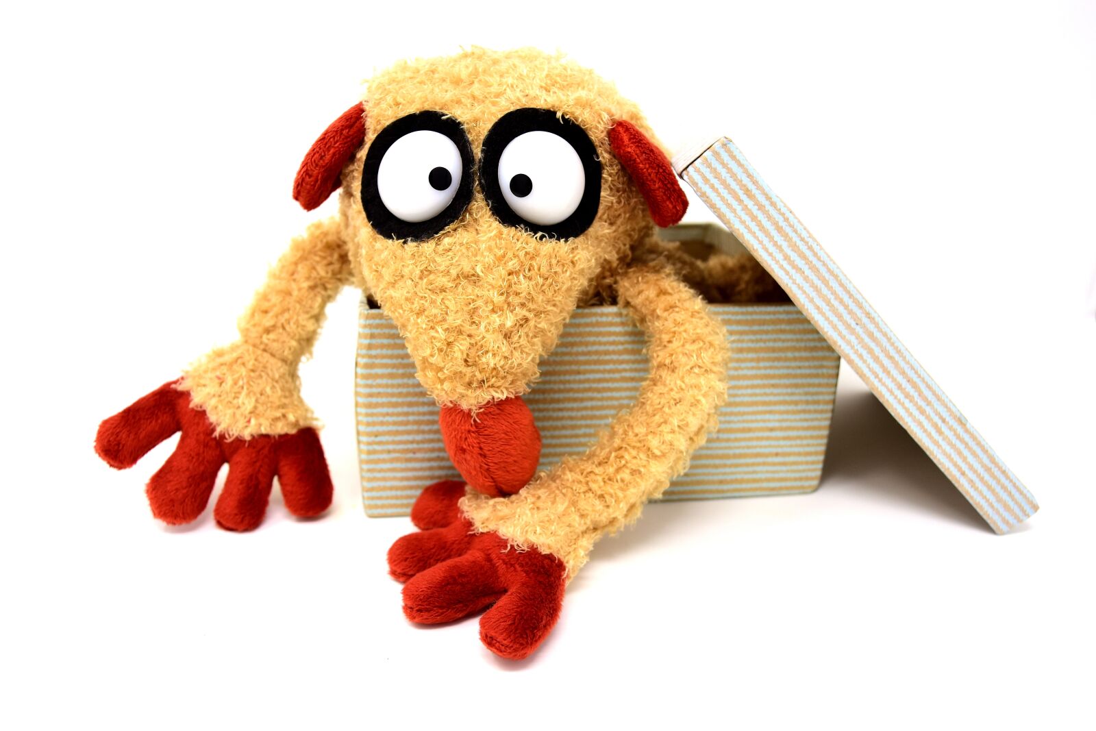 Nikon D7200 sample photo. Teddy bear, cardboard, funny photography
