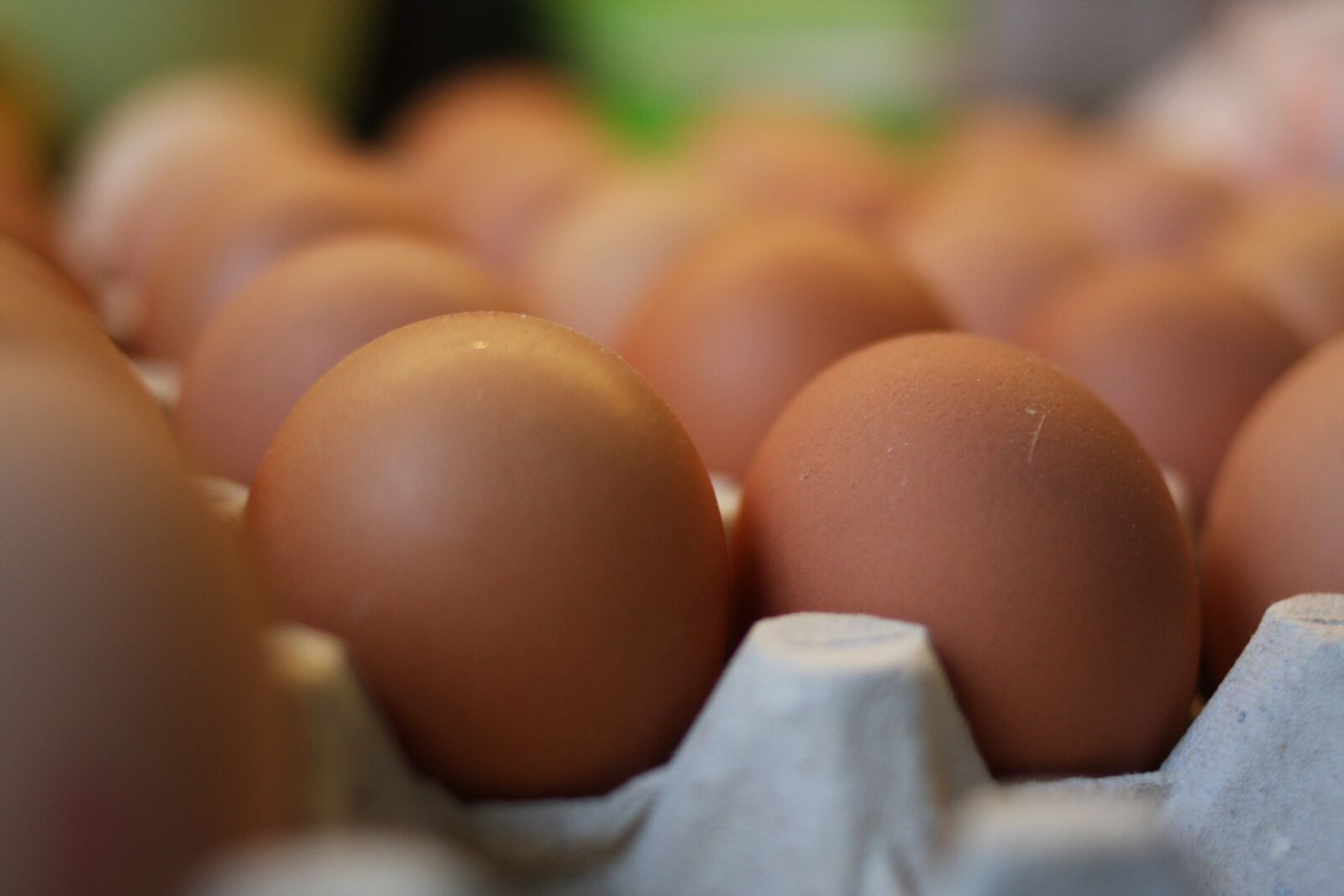 Canon EOS 40D sample photo. Eggs, food, eating photography