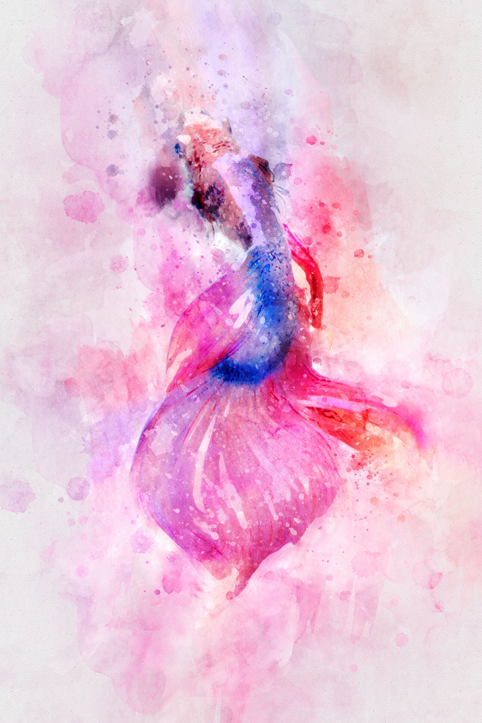 Nikon D750 sample photo. Pink, fish, watercolor photography