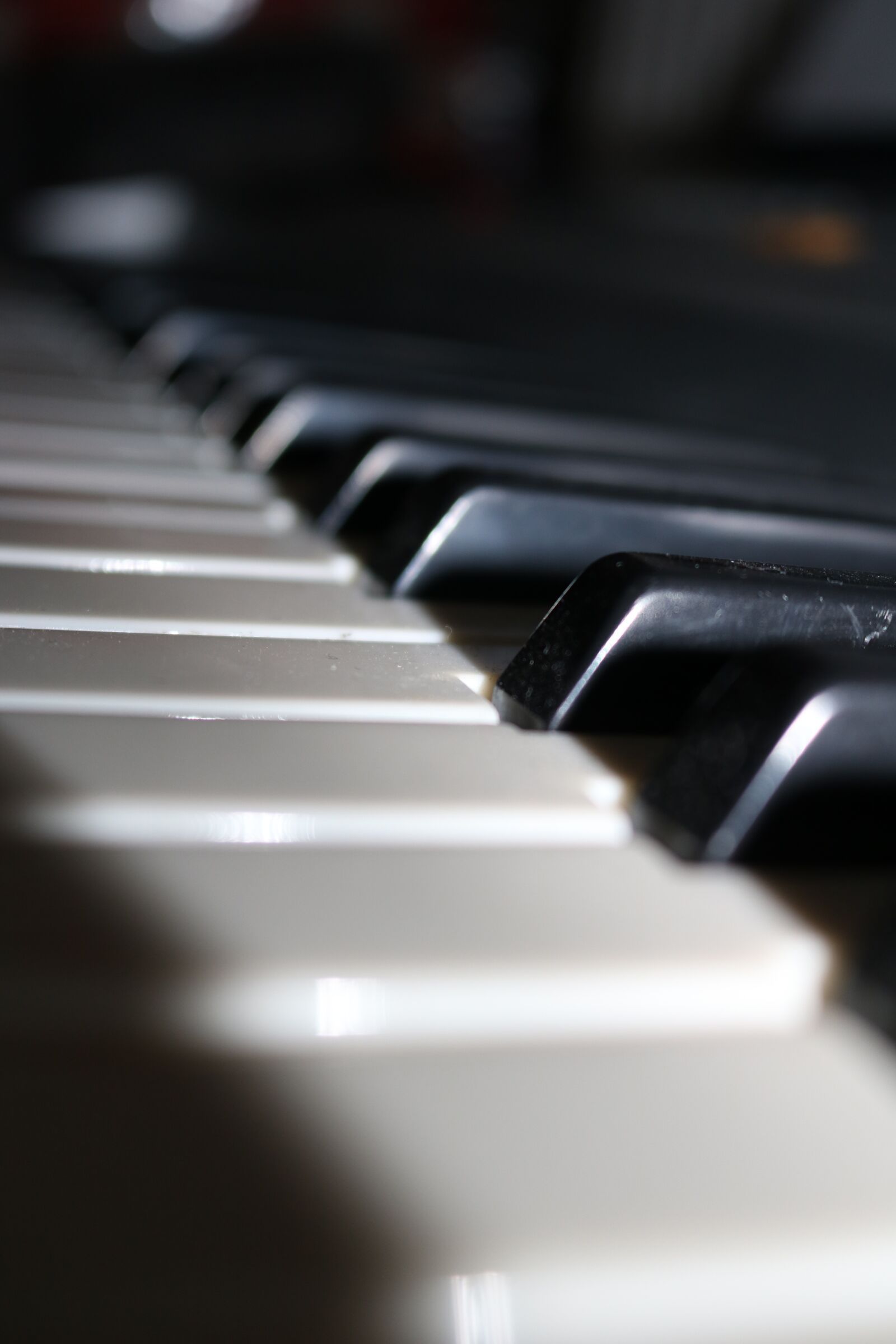 Canon EOS 750D (EOS Rebel T6i / EOS Kiss X8i) sample photo. Piano, keyboard, music musical photography