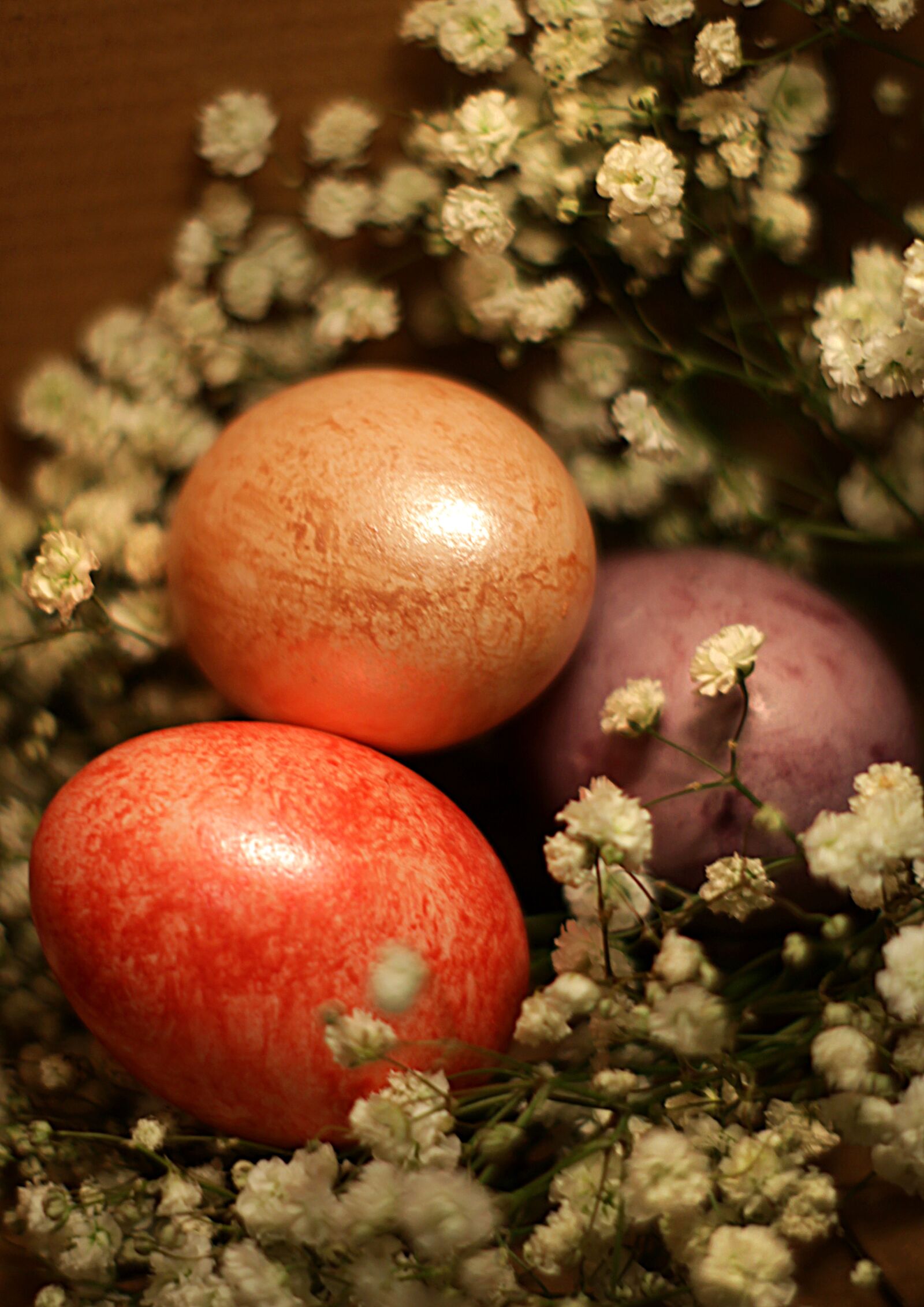 Canon EOS 1200D (EOS Rebel T5 / EOS Kiss X70 / EOS Hi) sample photo. Eggs, easter, egg photography