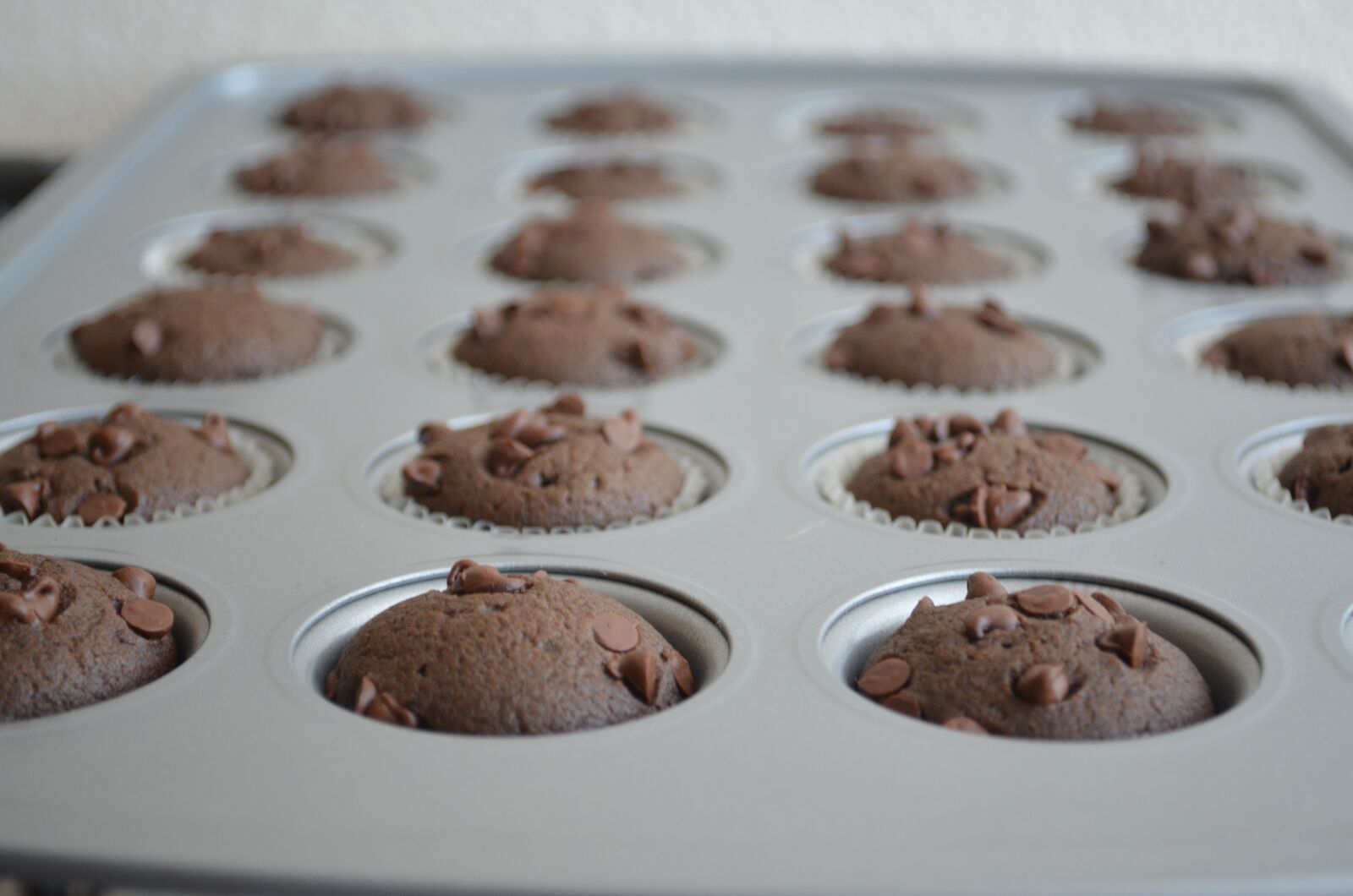 Nikon D5100 sample photo. Cupcakes, chocolate cake, chocolate photography