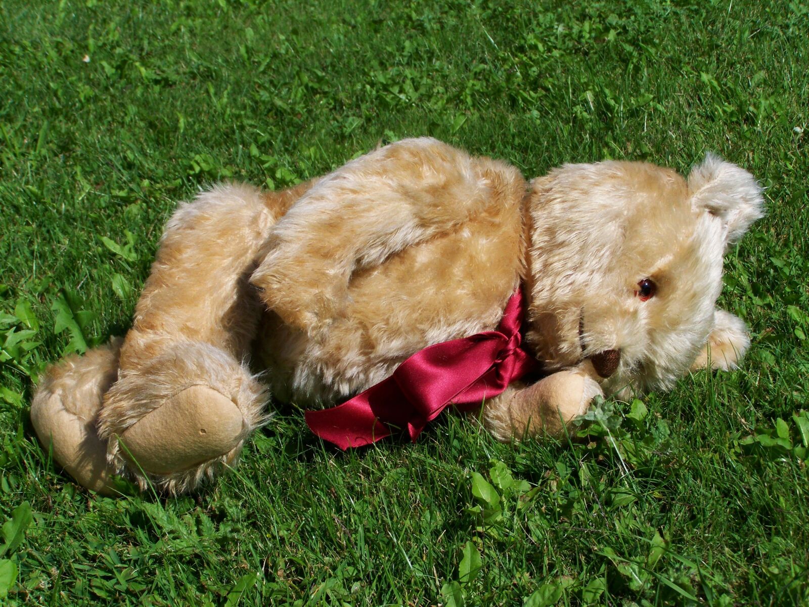 Kodak EASYSHARE ZD710 ZOOM DIGITAL CAMERA sample photo. Teddy bear, child's play photography