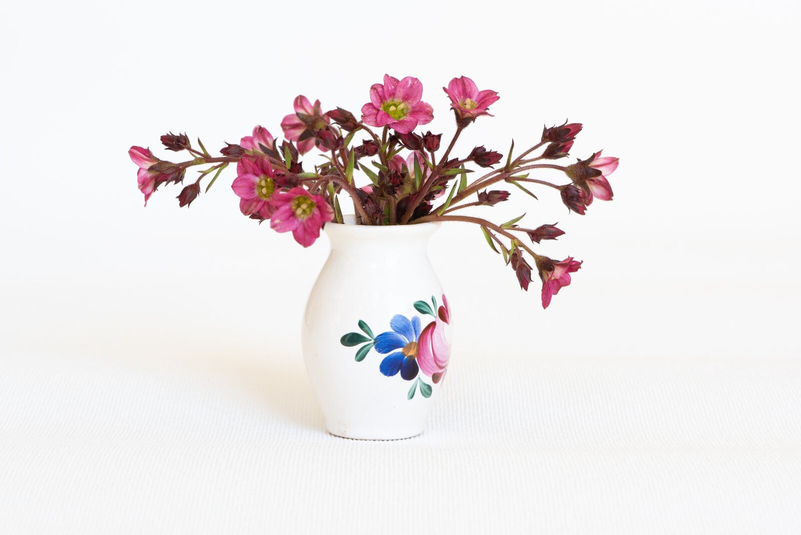 Nikon D750 sample photo. Flowers, vase, flower vase photography
