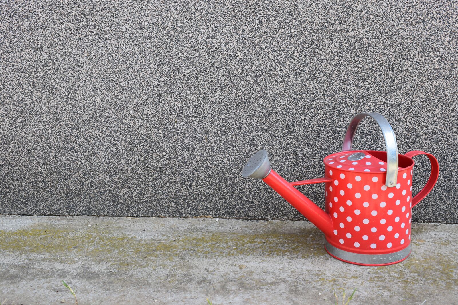 Nikon D5300 sample photo. Wateringcan, dotty, red photography