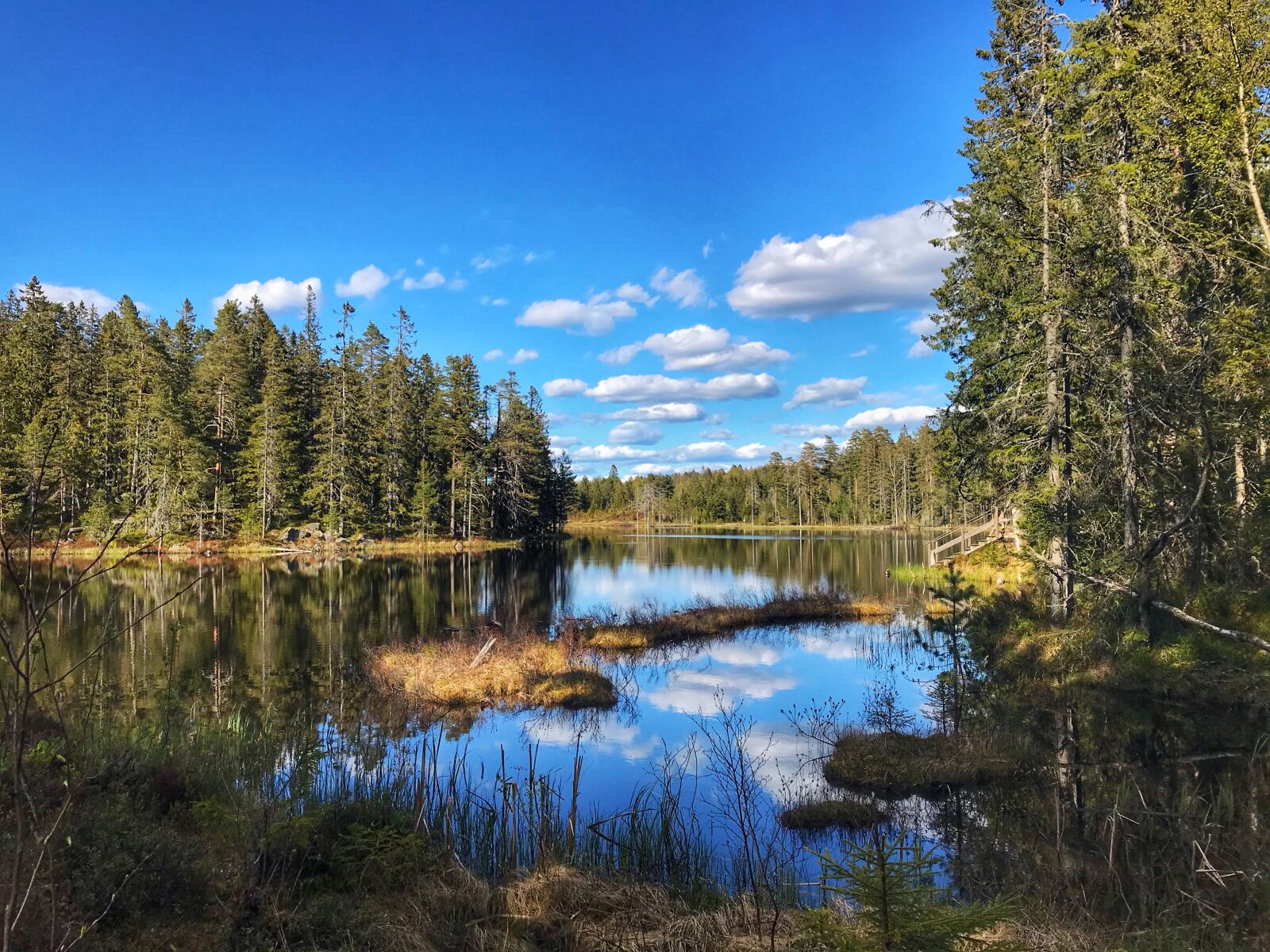 iPhone 7 back camera 3.99mm f/1.8 sample photo. Sweden, lake, nature photography