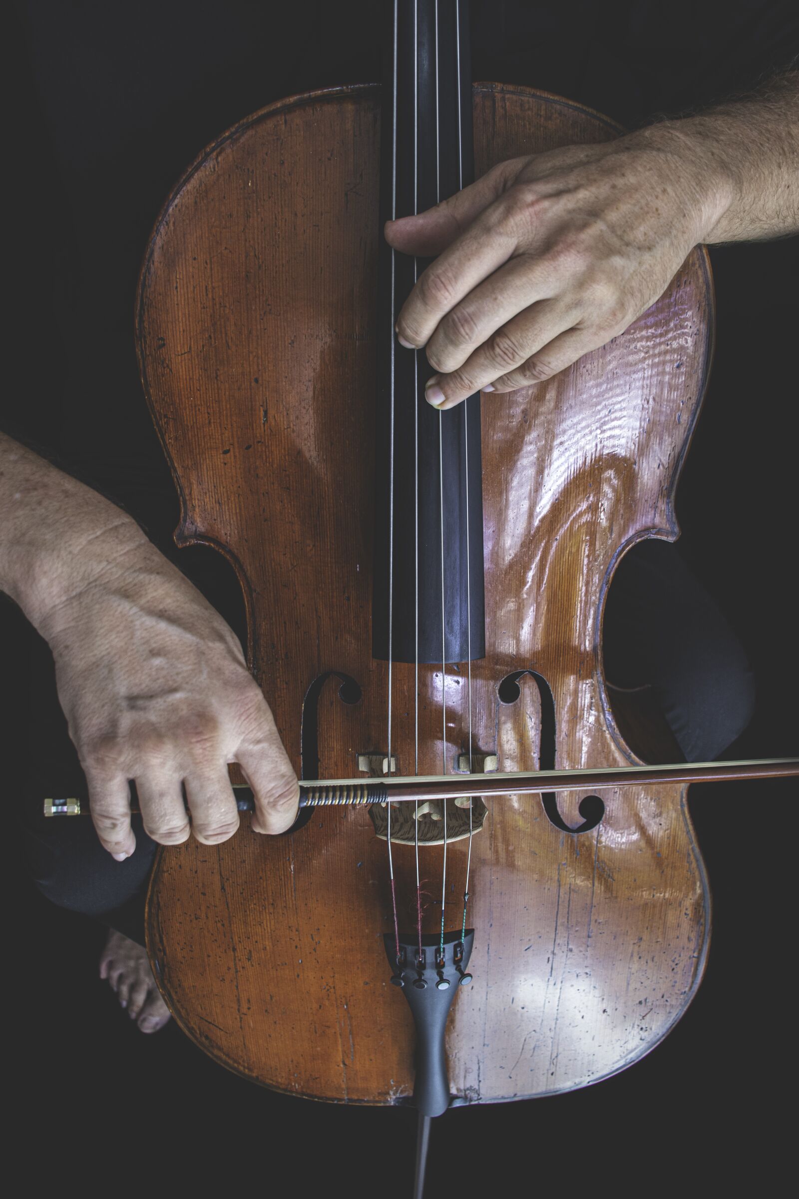 Nikon D5600 sample photo. Cello, classical music, bow photography