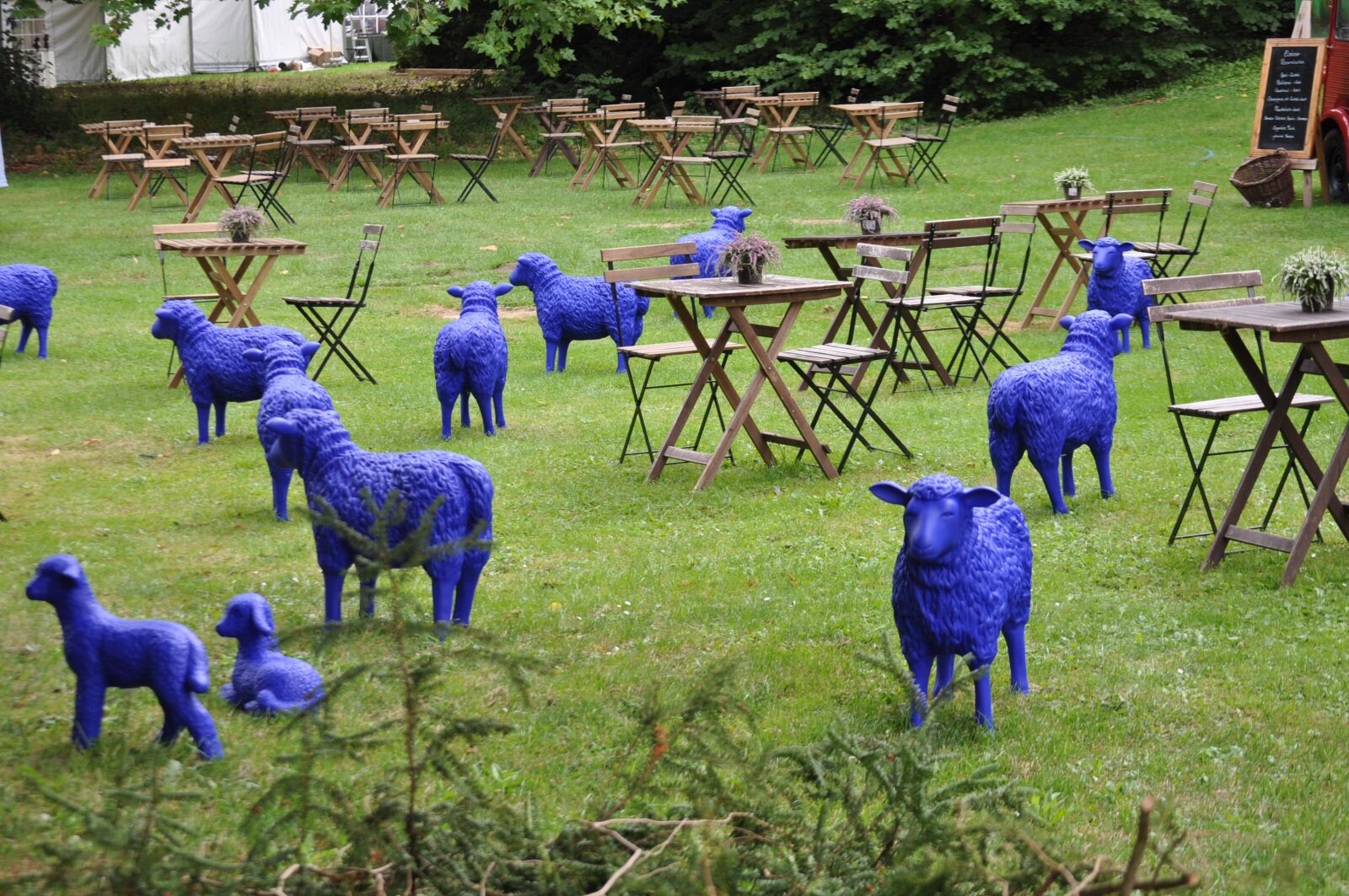 Nikon D5000 sample photo. Object, sheep, garden photography
