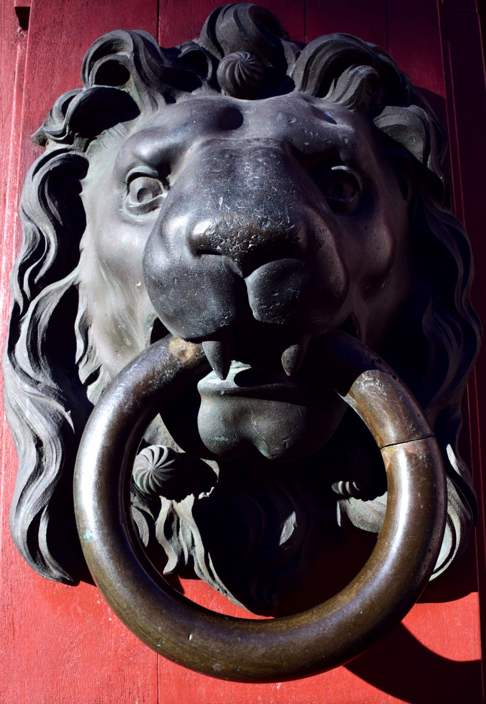 Nikon D3300 sample photo. Thumper, lion head, doorknocker photography