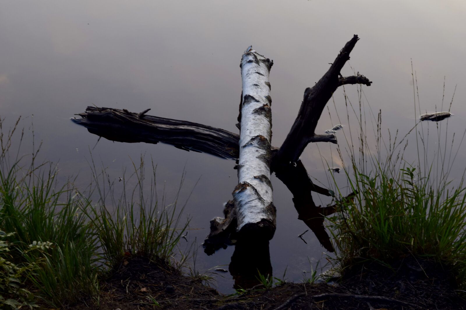 Nikon D3300 sample photo. Sweden, lake, outdoor photography