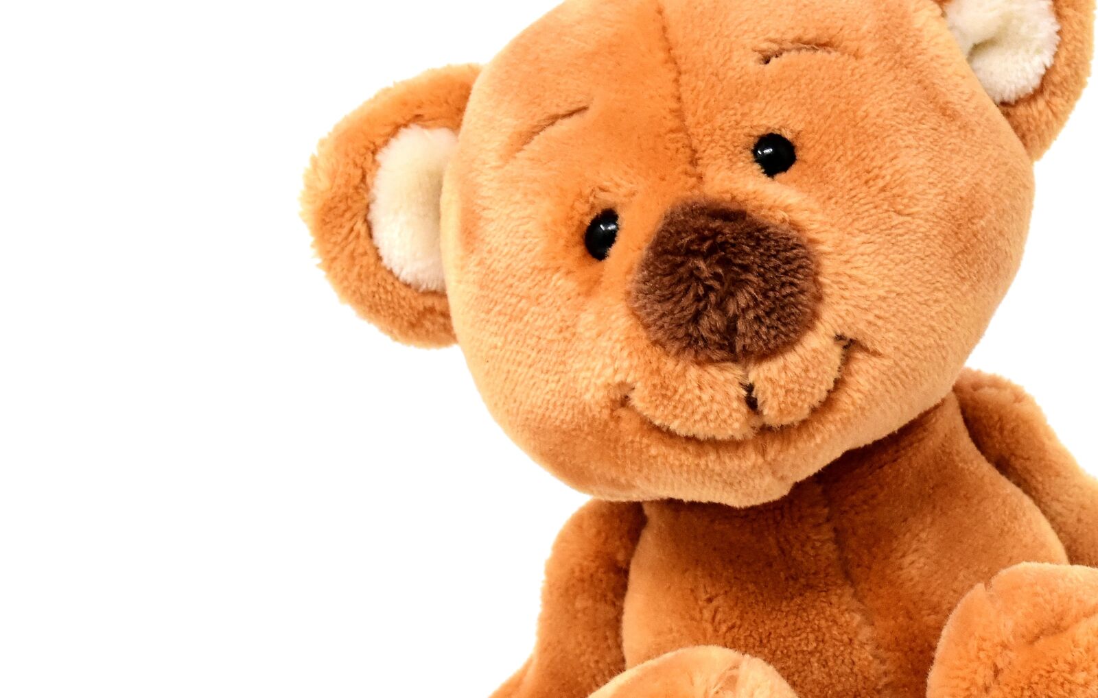 Nikon D7200 sample photo. Teddy, cute, soft toy photography
