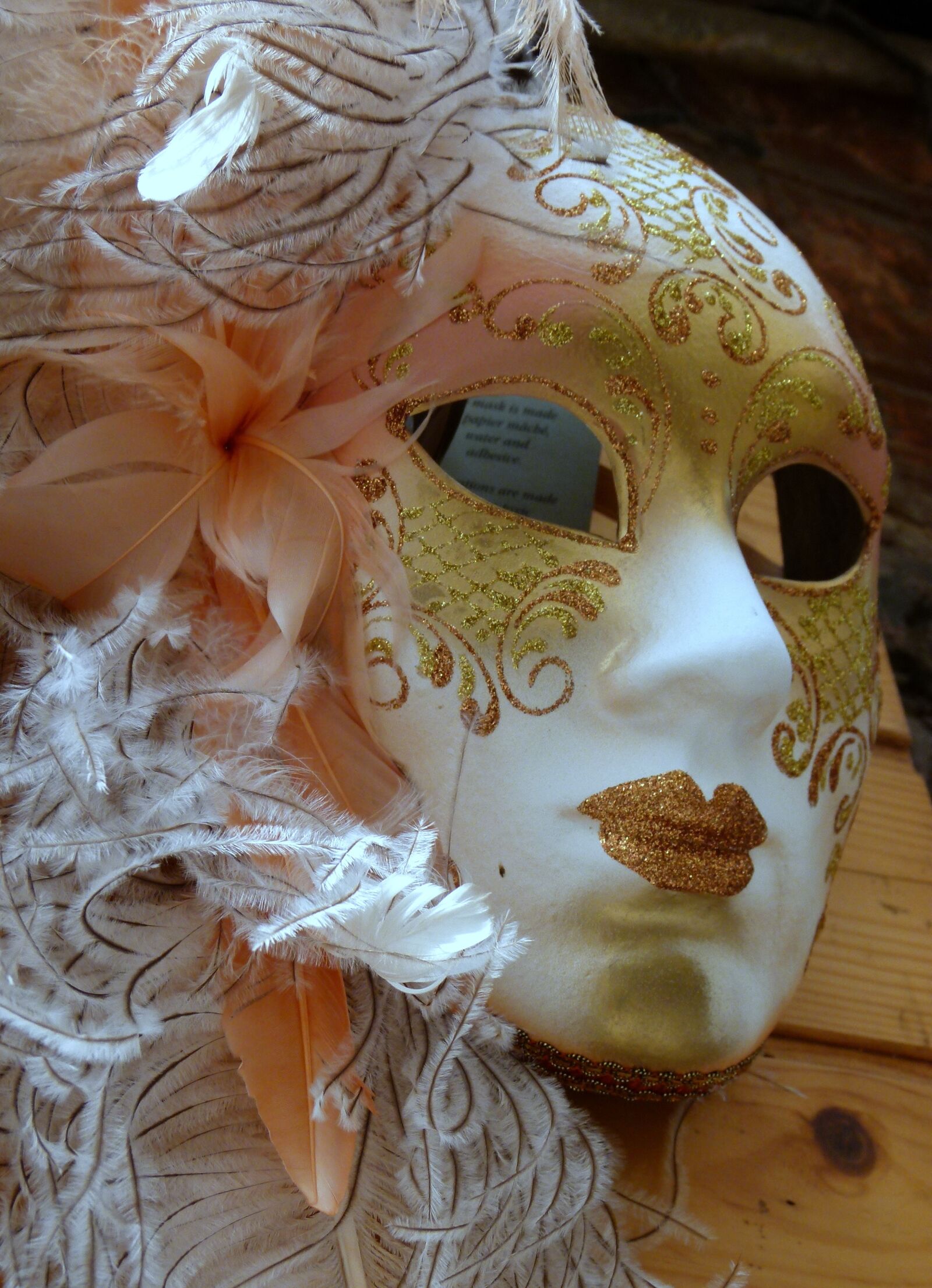 Panasonic Lumix DMC-FZ100 sample photo. Venice, mask, carnival photography