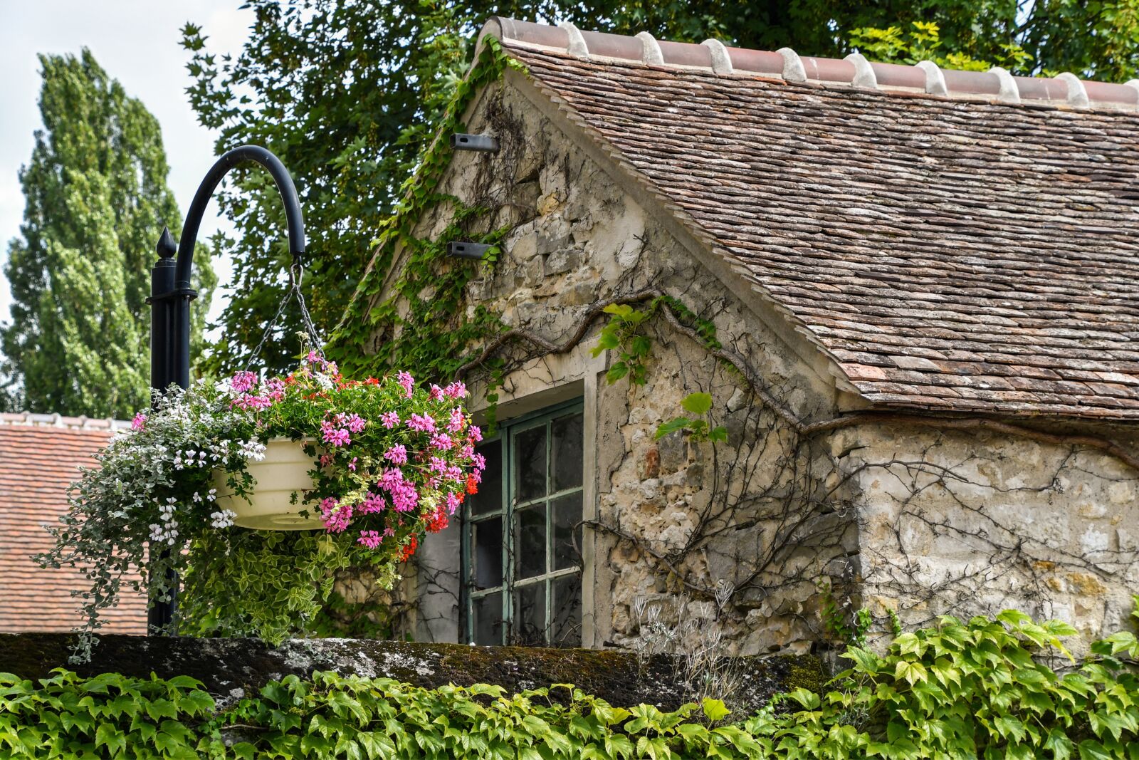 Nikon D500 sample photo. House, flower, roof photography
