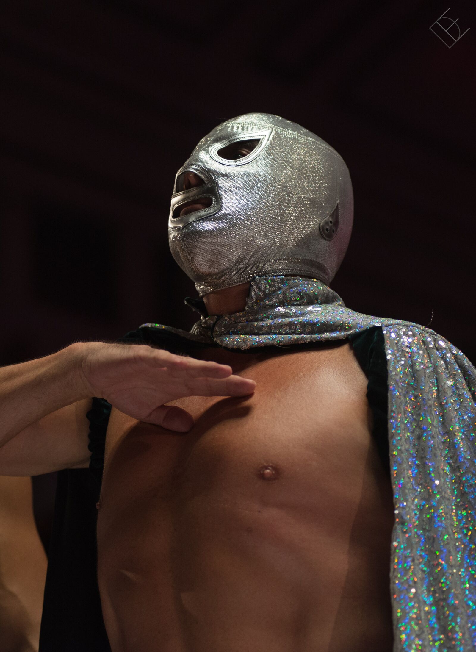 Nikon D610 sample photo. Fight, free, santo photography