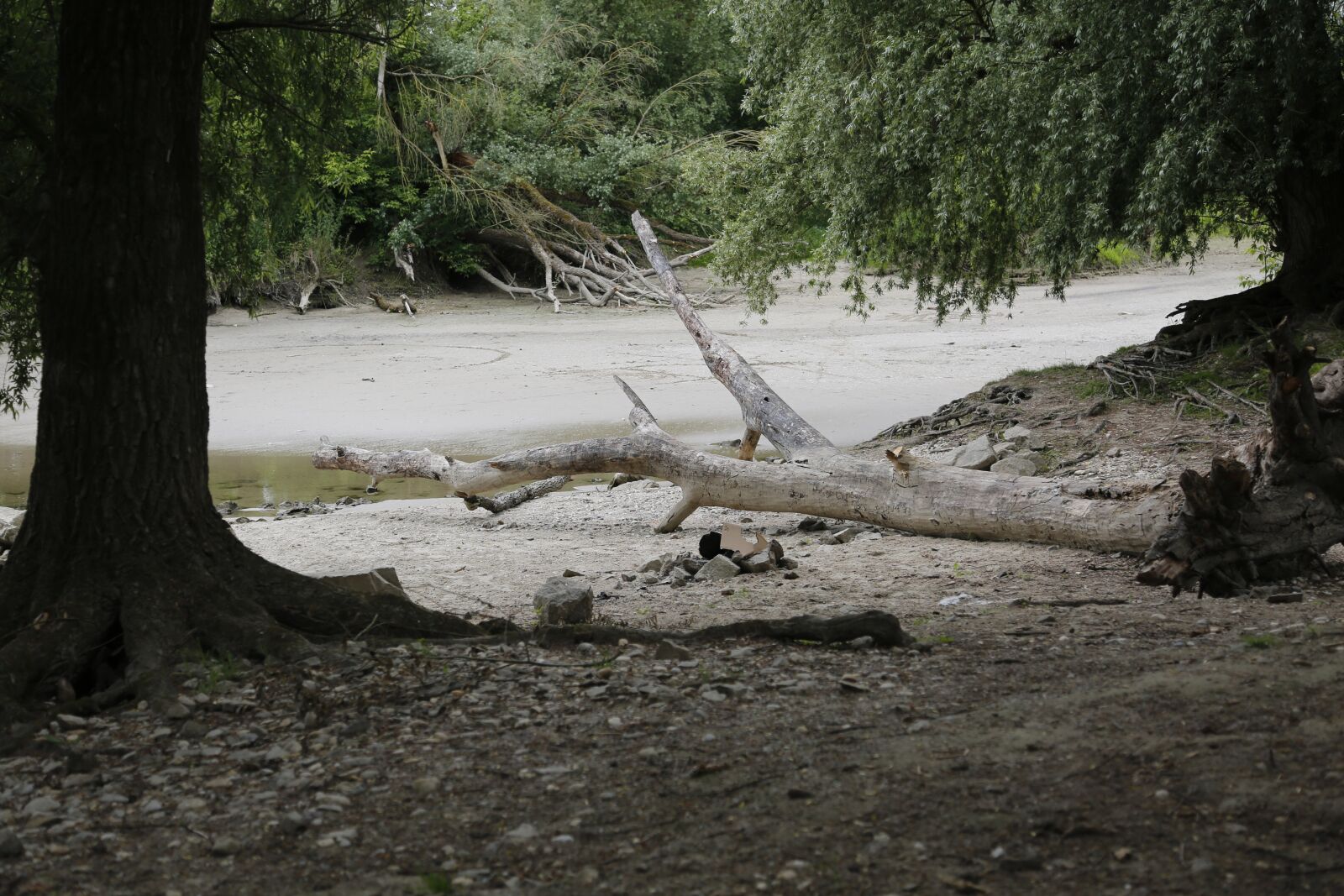 Canon EF 24-105mm F4L IS USM sample photo. Donauauen, land, water photography