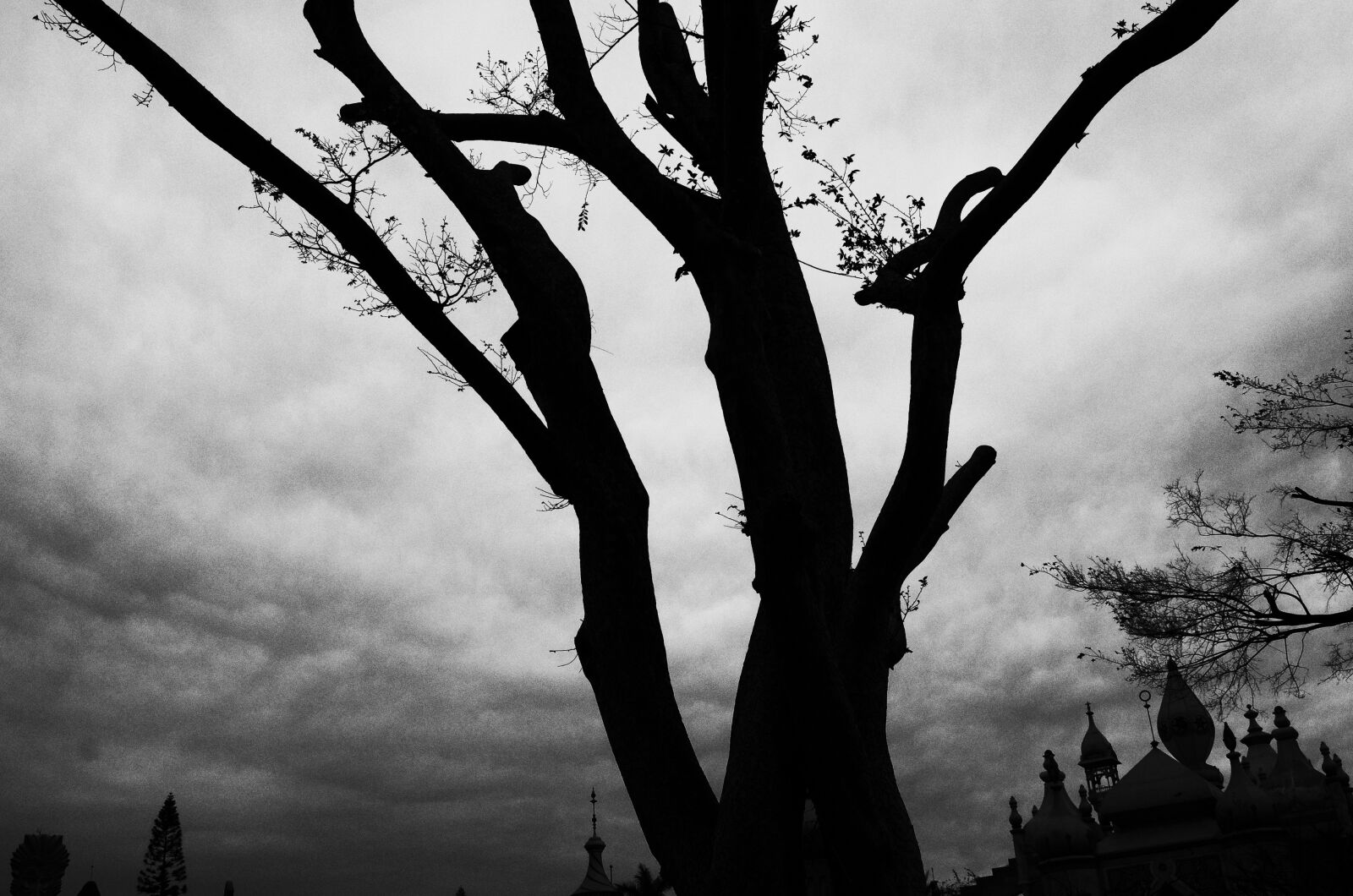 Ricoh GR + GR Lens sample photo. Black, and, white, darkness photography