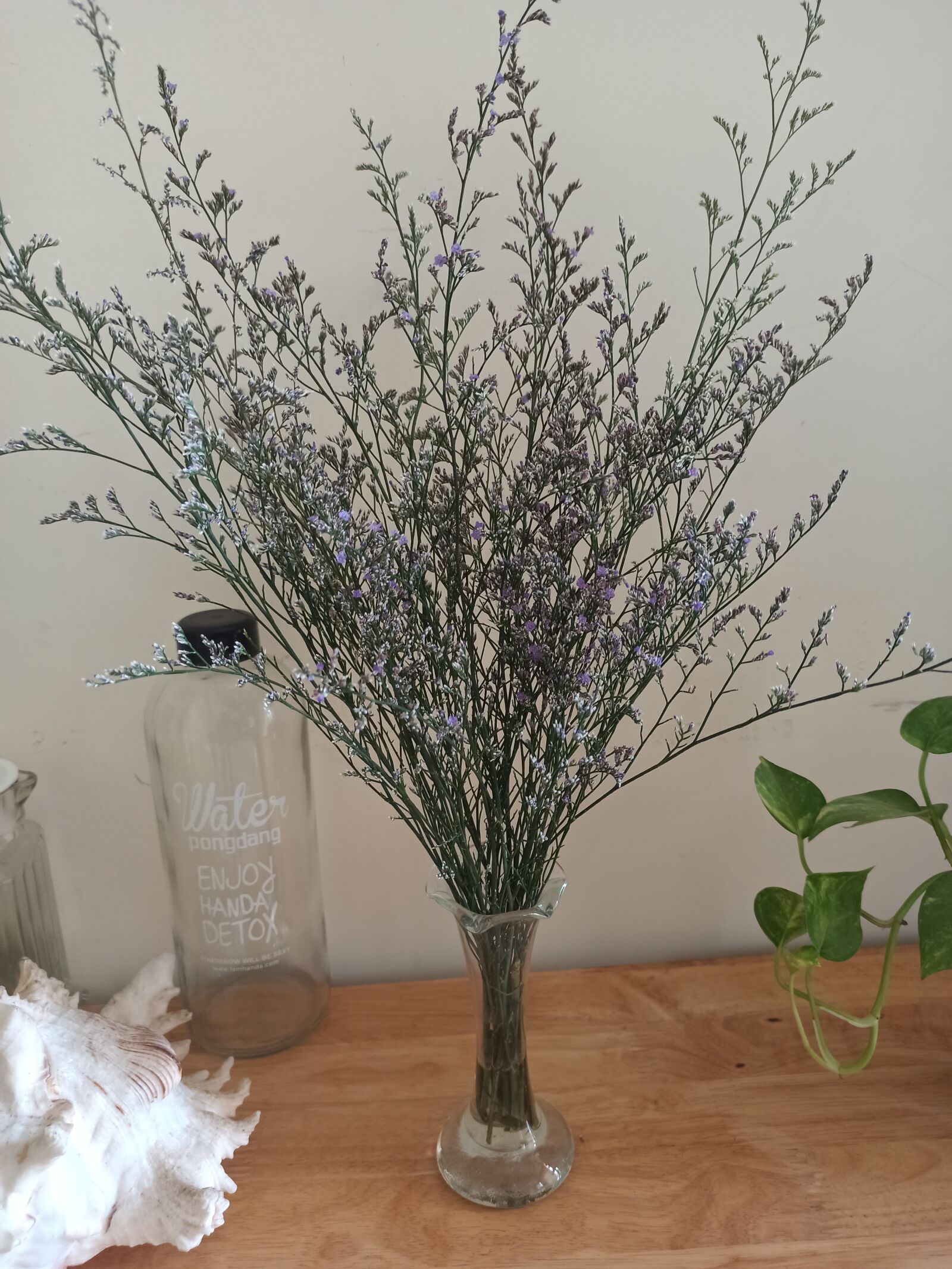 Xiaomi Redmi Note 8 Pro sample photo. Flower, vase, goods dry photography