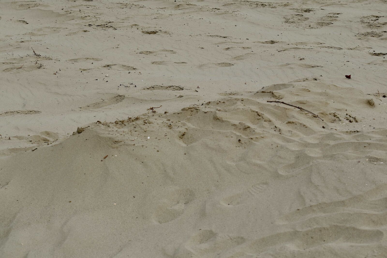 Nikon D5500 sample photo. Beach, sandbar, soil, sand photography
