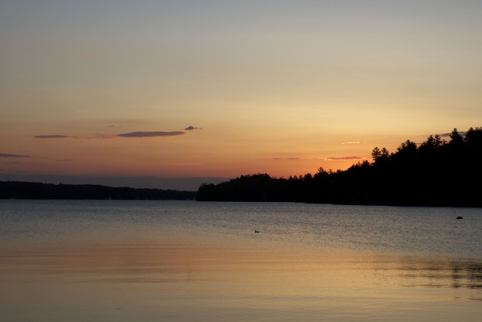 Canon EOS 550D (EOS Rebel T2i / EOS Kiss X4) sample photo. Lake water, summer time photography