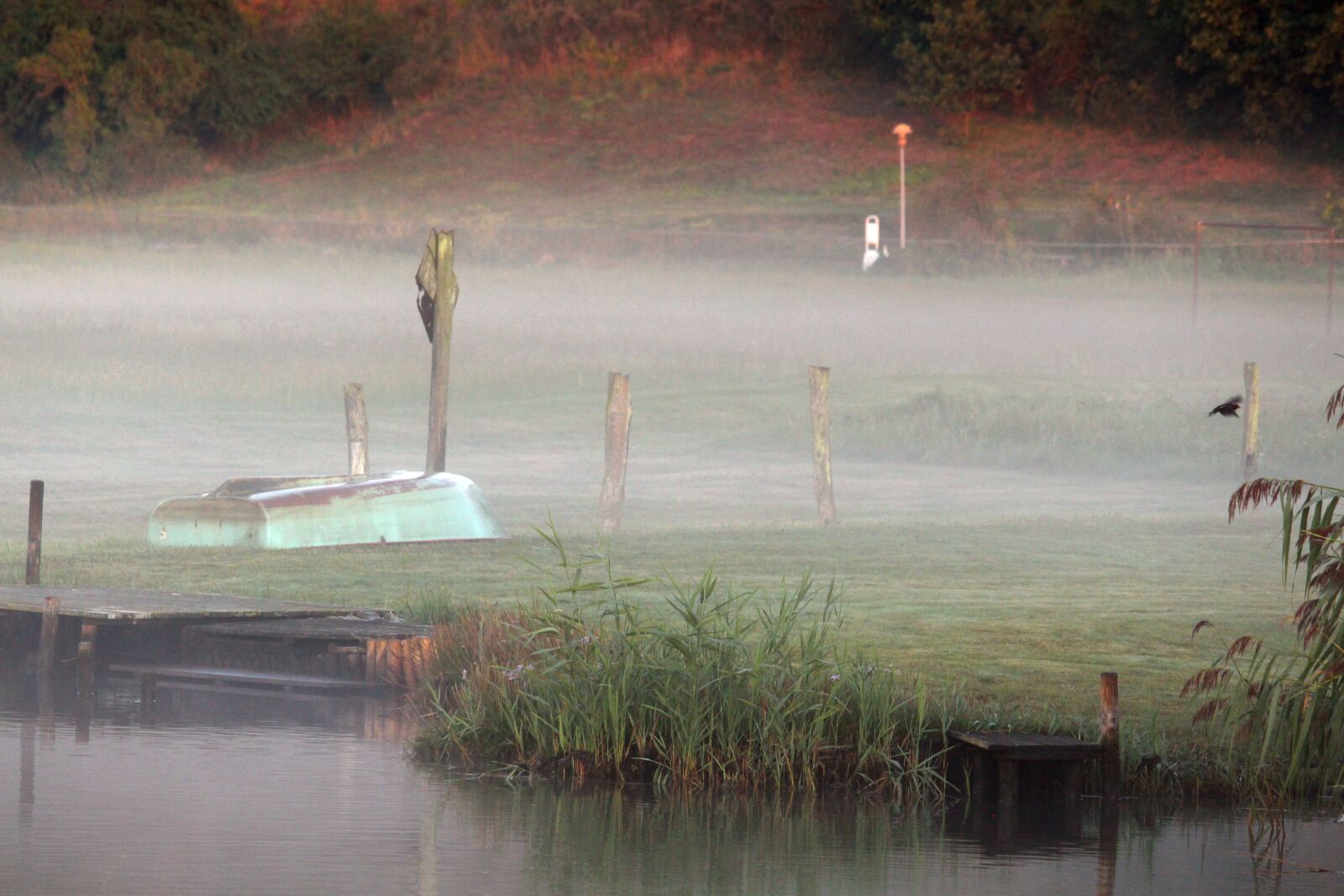 Canon EF-S 55-250mm F4-5.6 IS STM sample photo. Morning mist, fog, baabe photography