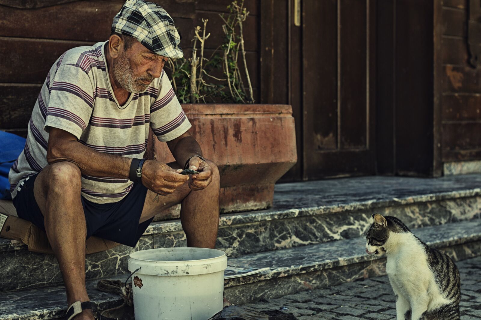 Canon EOS 650D (EOS Rebel T4i / EOS Kiss X6i) + Canon EF 50mm F1.8 II sample photo. Istanbul, human, turkey photography