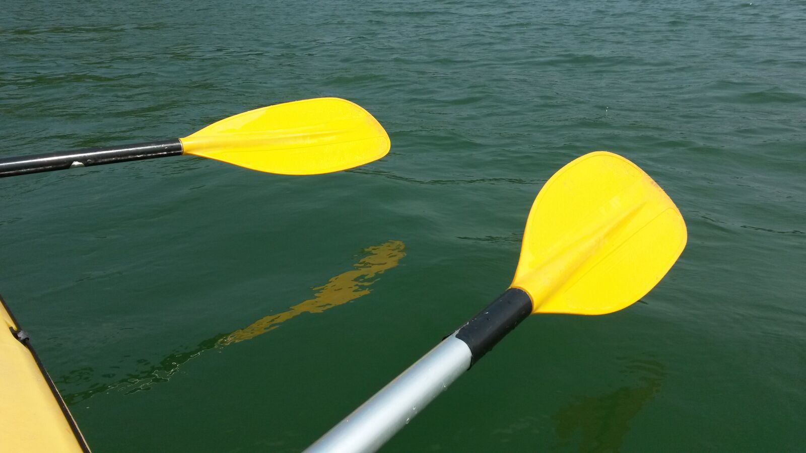 Samsung Galaxy S4 Mini sample photo. Oar photography