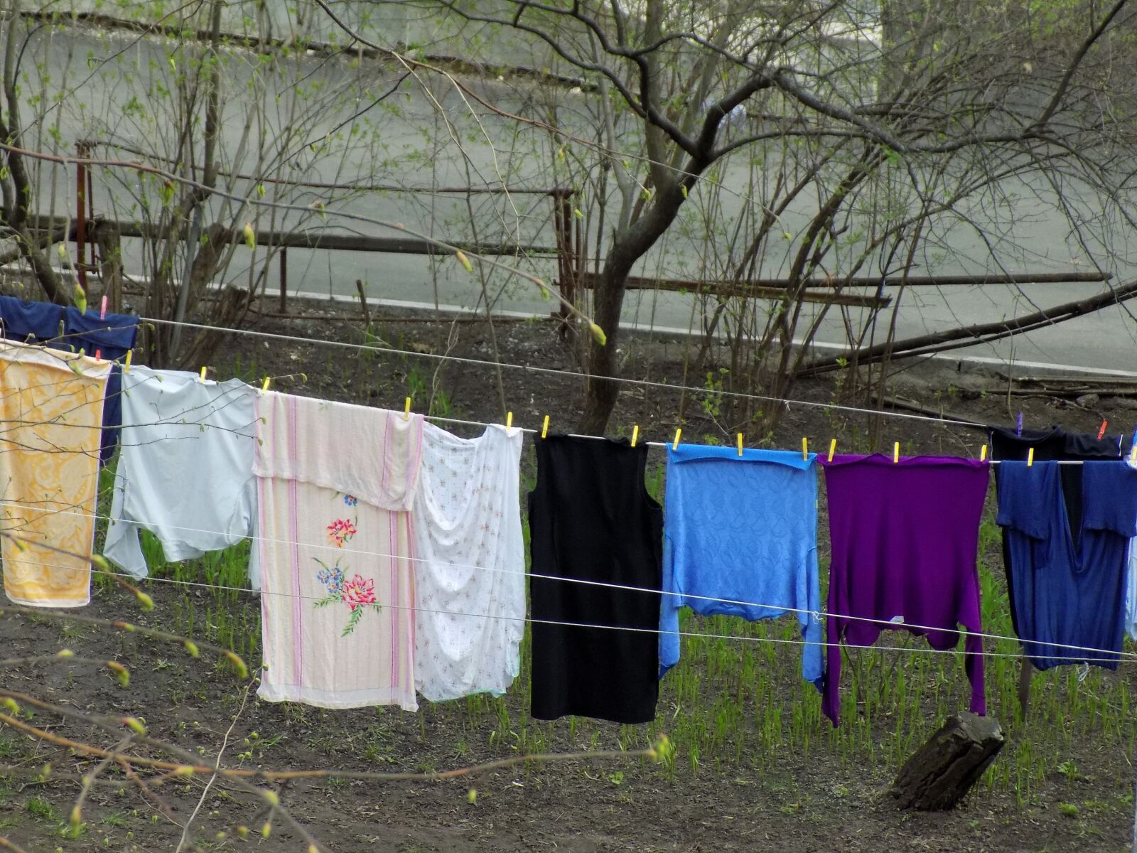 Nikon COOLPIX L330 sample photo. Clothesline, outdoors, recycling photography