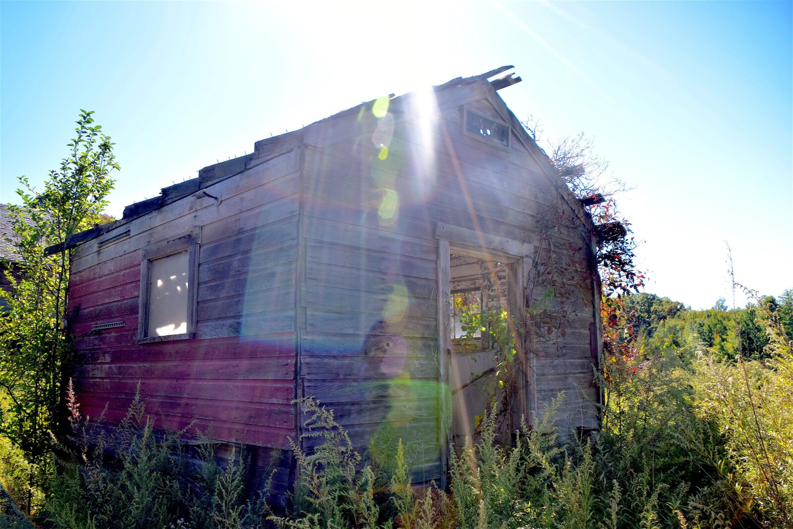 Nikon D3300 sample photo. Old abandoned house, rural photography