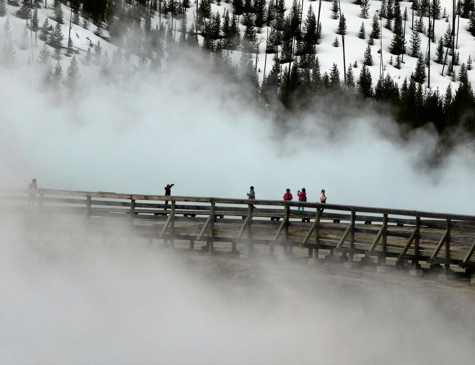 Panasonic Lumix DMC-ZS30 (Lumix DMC-TZ40) sample photo. Geyser, usa, yellowstone photography