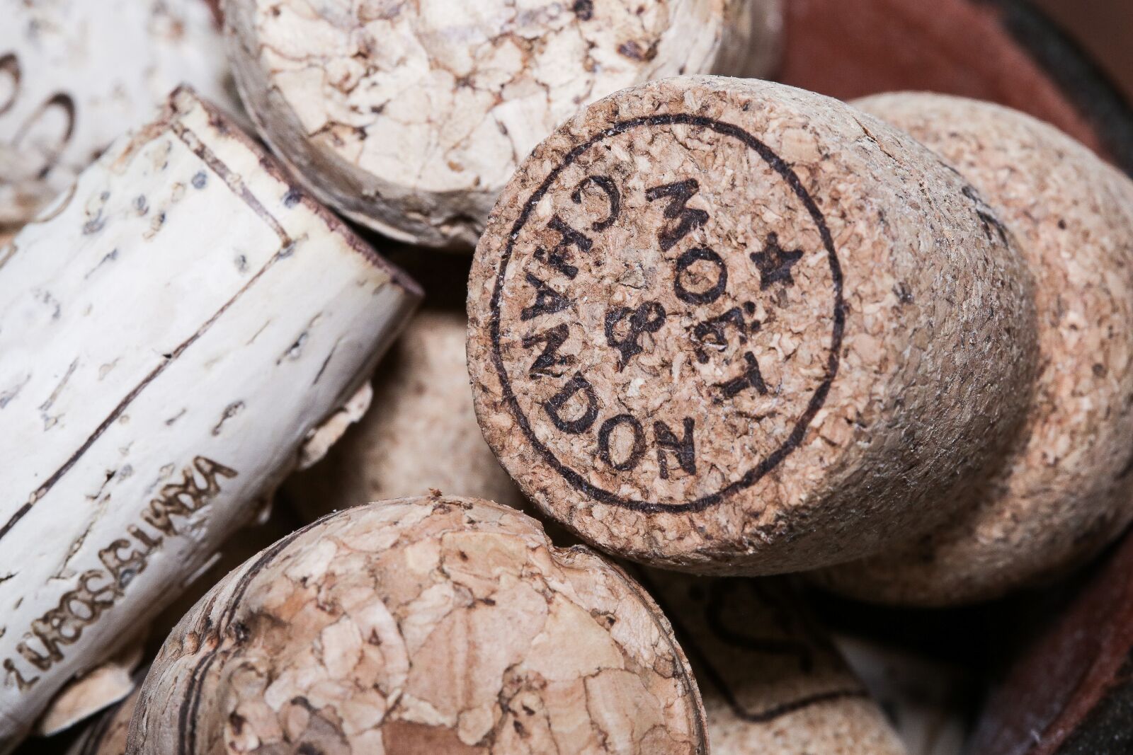 Canon EF 100mm F2.8 Macro USM sample photo. Food, drink, restaurant photography