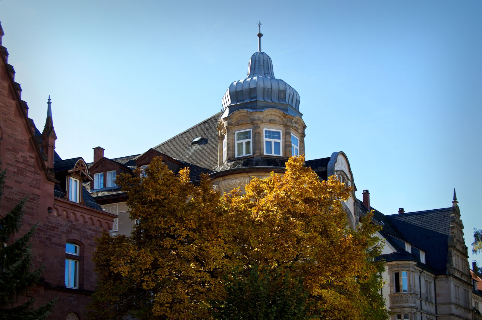 Nikon D3200 sample photo. Heidelberg, weststadt, deciduous tree photography