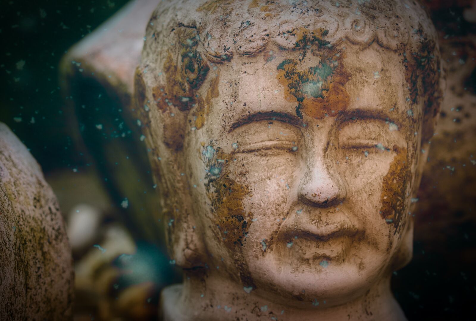Canon EOS 200D (EOS Rebel SL2 / EOS Kiss X9) sample photo. Buddha, sculpture, head photography