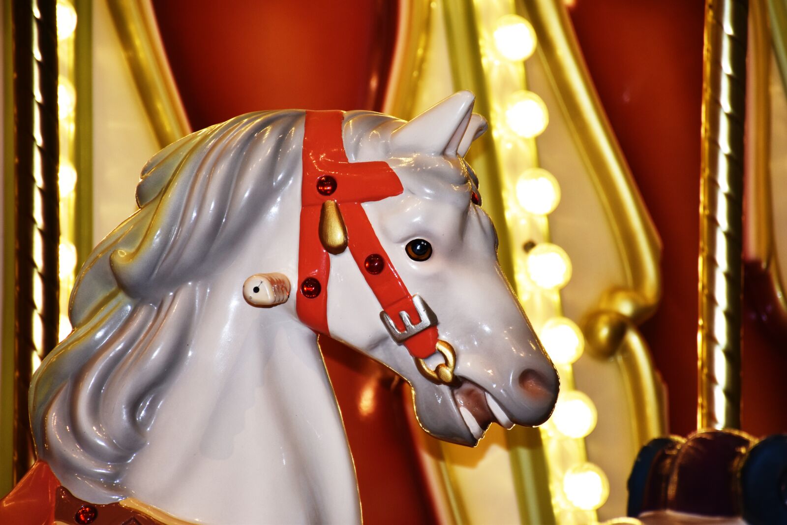 Nikon D5600 sample photo. Carousal, children, entertainment photography