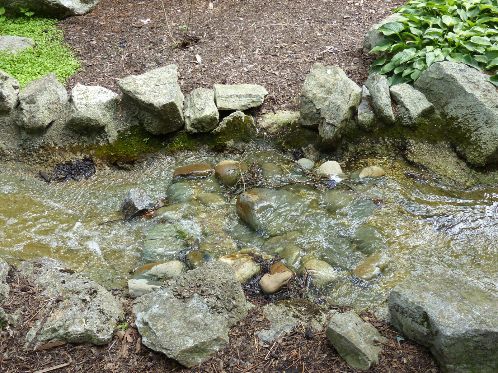 Panasonic Lumix DMC-FZ200 sample photo. Garden, stream, nature, plants photography