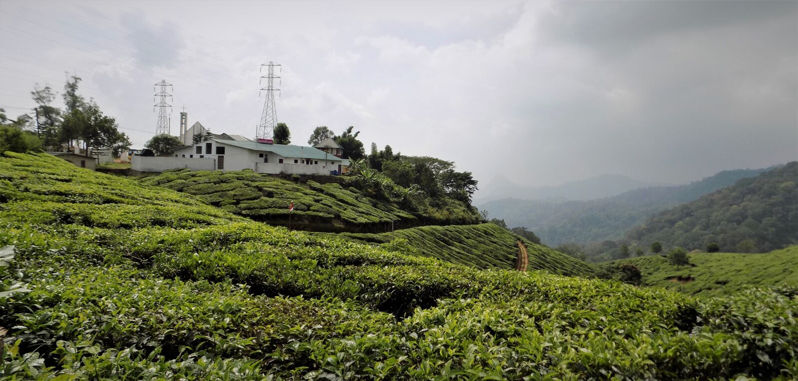 Nikon COOLPIX L340 sample photo. Munnar, kerala, in photography